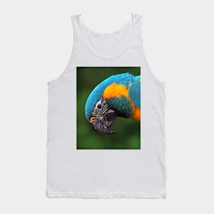 Macaw Portrait Tank Top